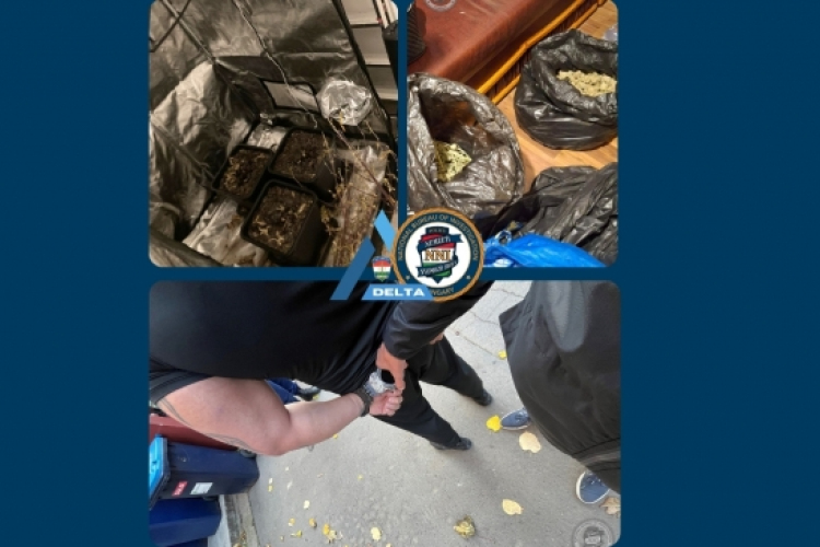 A termesztőig vezettek a drogfogás szálai